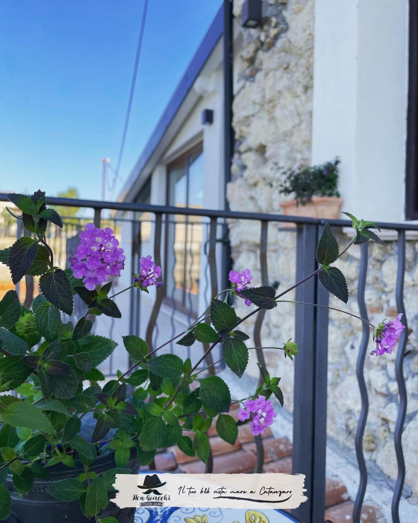 Don Giacchi Country House Катандзаро Экстерьер фото